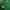 Polo Ralph Lauren Luxury Minimalist Polo shirt Pria green photo 3