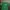 Polo Ralph Lauren Luxury Minimalist Polo Shirt Pria Green