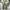 Vintage Y2K Jeans Pria cream blue photo 5