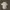 ZARA Luxury Minimalist Polo shirt Pria cream photo 2