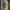 Streetwear Minimalist Hoody Pria green photo 1
