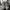 Nike Streetwear Sneakers Pria black gray photo 4