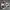 Nike Casual Sneakers Pria white black photo 4