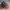 Under Armour Casual Sneakers Pria orange navy photo 2