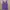 X-girl Casual Cami top Wanita purple photo 1
