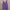 X-girl Casual Cami Top Wanita Purple