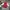 Japanese brand Vintage Y2K Fleece Kids white red photo 1