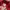 Japanese brand Vintage Y2K Fleece Kids white red photo 3