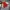 Japanese brand Vintage Y2K Fleece Kids white red photo 4