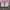 Streetwear Sportswear T-shirt Pria white pink photo 4