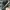 Nike Streetwear Casual Sneakers Pria multicolor photo 6