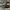 Nike Streetwear Casual Sneakers Pria multicolor photo 1