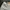 Y2K Casual Ripped jeans Wanita gray photo 2