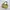 Coach Luxury Minimalist Tote bag Wanita gold khaki photo 4
