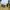 Coach Luxury Minimalist Tote bag Wanita gold khaki photo 8