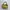 Coach Luxury Minimalist Tote bag Wanita gold khaki photo 3