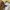 Stussy Streetwear Capes & poncho Pria white photo 4