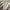 Coquette Casual Midi dress Wanita gray photo 1