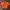 Polo Ralph Lauren Minimalist Casual Crop Top Wanita Orange