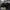 Airwalk Casual Sneakers Kids cream black photo 8