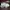 Balenciaga Avant Garde Casual Sneakers Pria multicolor white photo 4