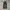 Lyle & Scott Streetwear Casual Harrington jacket Pria tan photo 3