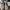 Diadora Casual Sneakers Pria gray photo 5