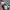 VANS Vintage Streetwear Pria white black photo 3