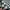 VANS Vintage Streetwear Pria White Black