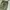 Vintage Streetwear Casual pants Pria green photo 2