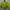 Futurist Casual Crop top Wanita green photo 3