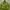 Futurist Casual Crop top Wanita green photo 2