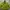 Futurist Casual Crop Top Wanita Green