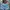 Casual Wanita multicolor blue photo 2