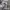 Carhartt Vintage Streetwear Hoody Pria gray photo 5