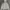 Levi's Streetwear Sportswear Hoody Pria white black photo 2