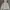 Levi's Streetwear Sportswear Hoody Pria White Black