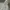 Levi's Streetwear Sportswear Hoody Pria white black photo 4