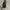 Kate Spade Minimalist Shoulder bag Wanita black photo 6