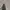 Kate Spade Minimalist Shoulder bag Wanita black photo 5