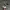 Adidas Casual Casual shoe Pria white gray photo 1