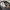 Levi's Streetwear Casual Jeans Pria black photo 6