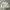 Streetwear Skater Sweatshirt Pria gray photo 3