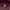 Vintage Streetwear Hoody Pria burgundy photo 4
