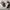 Maison Margiela Minimalist Casual Casual shoe Pria white cream photo 7