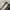 Maison Margiela Minimalist Casual Casual Shoe Pria White Cream