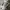 Maison Margiela Minimalist Casual Casual shoe Pria white cream photo 4
