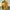 Indie Shirt Wanita yellow photo 1