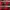 Uniqlo Streetwear Casual Shirt Pria Red