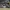 Nike Air Jordan Sportswear Pria Gray